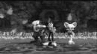 Shadow And Rouge Broken