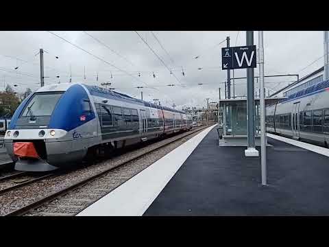 TER, FRET, INFRA et Train Spécial à Besançon Viotte