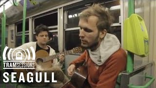 Seagull - Unclaimed Luggage | Tram Sessions