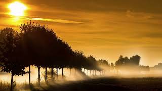 Angels And Alcohol (Alan Jackson) - Phi Anh cover