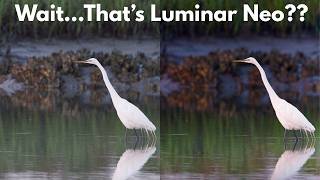 Why I’m Sending My PhotoLab 9 Images Into Luminar Neo!!