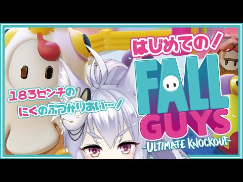 【Fall Guys】183cmの肉の塊がぶつかり合うゲーム【Vtuber/雪尾紺】【初見実況】