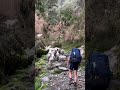 Hiking with Sheep &amp; Goats, Annapurna, Nepal, Himalayan Trekking Path P.Ltd from Karlee W. 🇳🇵