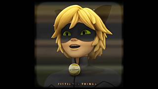 Kara Kedinin Asla Unutulmayacak O Sahnesi...for Açıklama