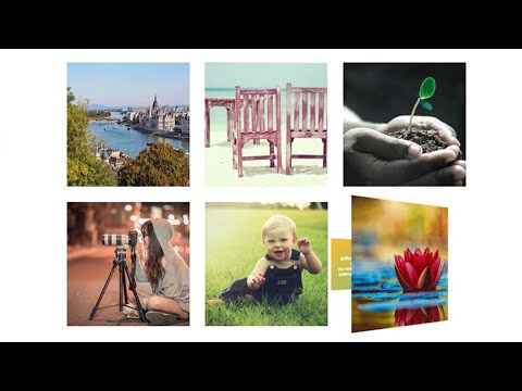 3D Flip Card Effect On Hover Using |Responsive CSS |3D Image Hover Effect| Zoom On Hover | HTML  CSS