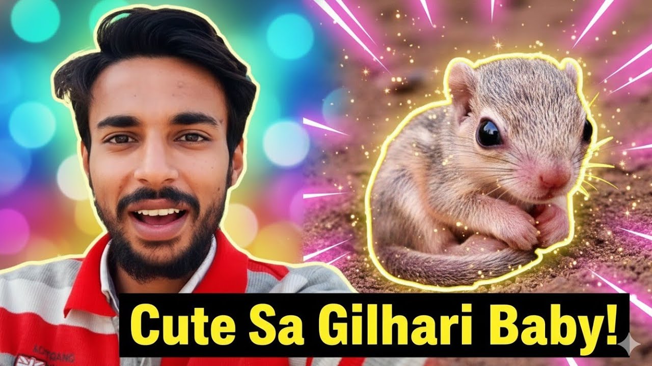 Gilhari Rama Cute Sa Gilhari Baby 😍 - YouTube