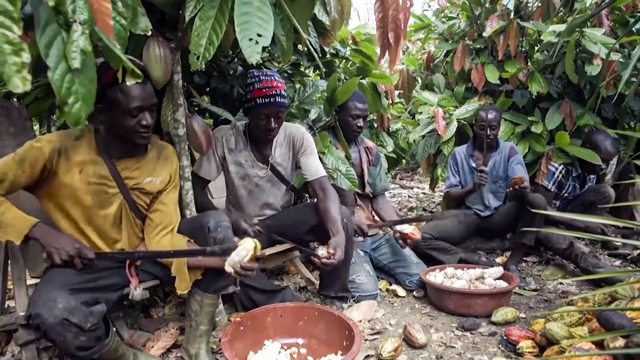 Chocolate's Heart of Darkness