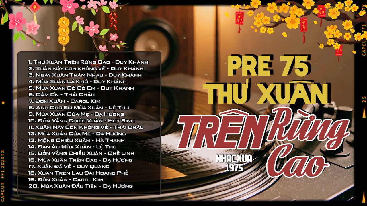 THƯ XUÂN TRÊN RỪNG CAO | Nhạc Xuân Xưa PRE 1975 Hiếm Có Khó Tìm