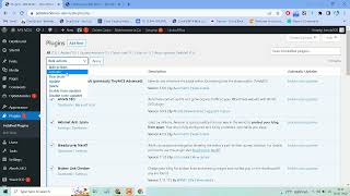 How To Delete All Plugins In WordPress At One Time