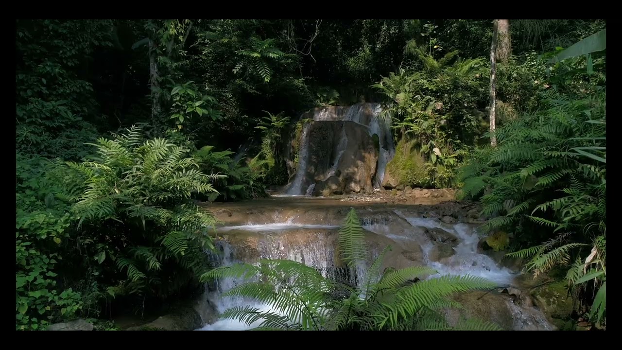 Ancient Forest Tiers 🌿 Ethereal Piano & Cascading Waterfall Sounds for Deep Peace