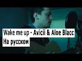 Wake me up - Avicii & Аloe Blacc - russian cover - кавер на русском