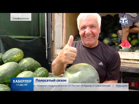 Сезон арбузов