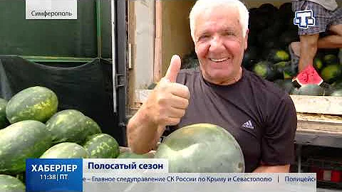 Сезон арбузов