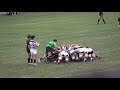 2019.1.12明治大が２２季ぶり優勝　天理下す　２２―１７全国大学ラグビー後半16分明治PG決める15-5