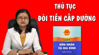 Thủ tục đòi tiền CẤP DƯỠNG cho con || Không cấp dưỡng bị phạt TÙ ?