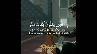 Surah Fatir Verse 28 To 30