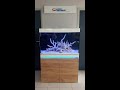 Hardy dewerse  tutoriel mise en eau aquarium eheim incpiria marine 330