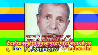 Dimag Ke Batti | Dada Heera Markam | दिमाग के बत्ती | दादा हीरा मरकाम | भानु रंगीला बसंती रंगीली