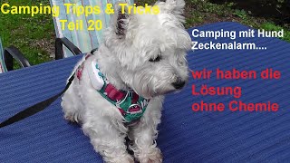 Camping Tipps mit Hund.