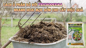 Cách ủ phân bò với Trichoderma nhanh hoai mục bón cho cây hiệu quả và tiếp kiệm