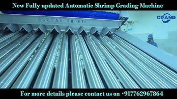 Automatic Shrimp Grading Machine we installed in Tamilnadu more details please contact+917762967864