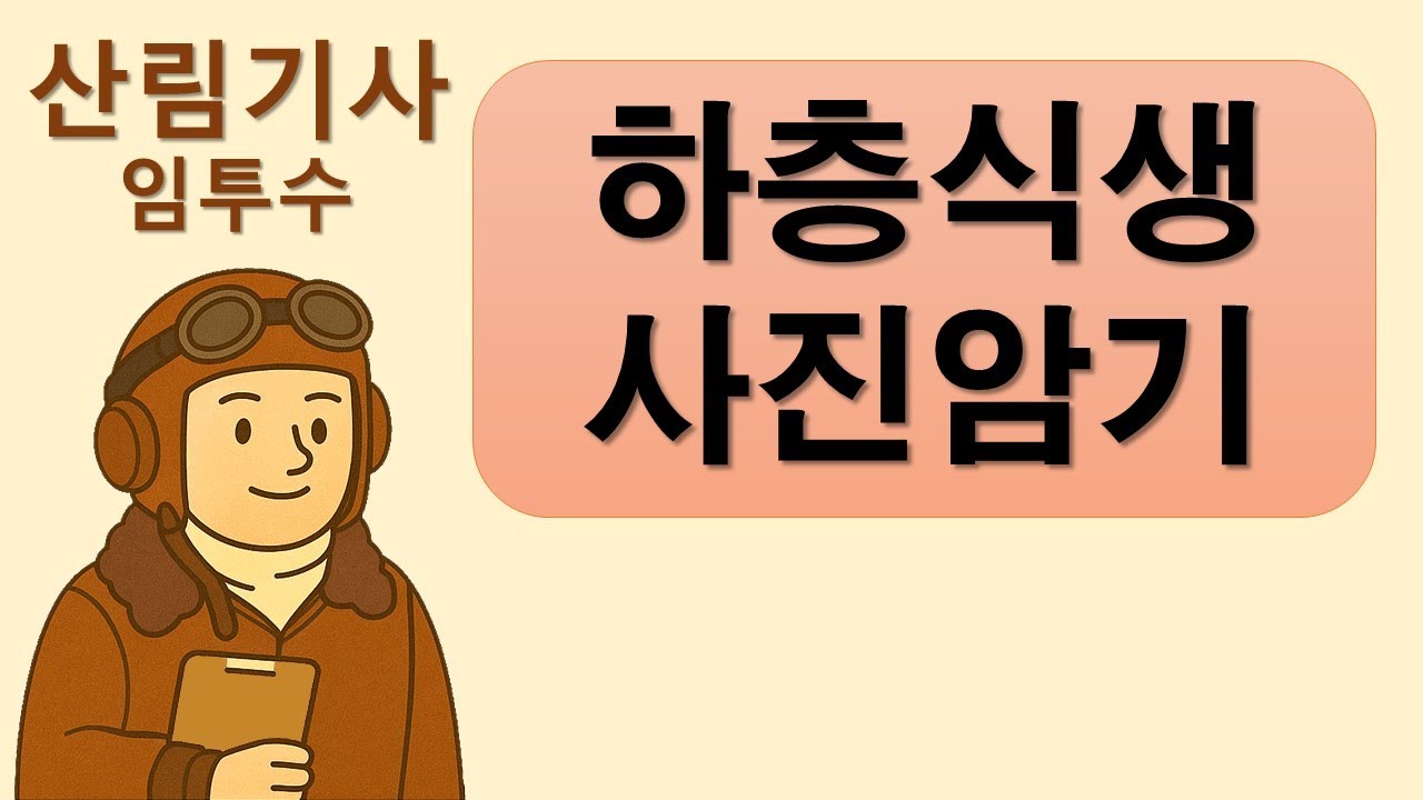 산림기사  하층식생 사진암기 임투수의 연상기법 공부법, 어려운 식생 특징과 연상되는 사진으로 쉽게 기억하기  가막살나무 덜꿩나무 병꽃나무 서어나무 가죽나무 굴피나무 두릅나무