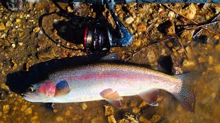Catching Big Fat Healthy Rainbow Trout Fishing With A Bladed Nymph