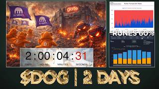 2 Days From Operation Dog Buy Domination Heres The Plan