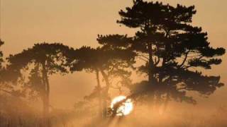 Raag Todi, Ustad Munir Khan, Sarangi