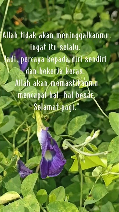 Ucapan selamat pagi dan doa pagi hari ini #short