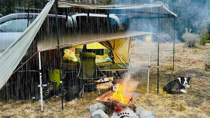 Car Tent Camping in Rain - Elevated Tent - Fire - dog