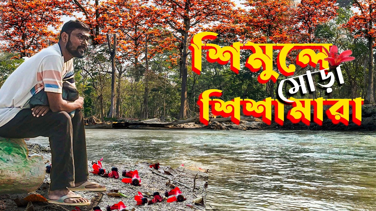 নর্থ বেঙ্গলে শিমুল ট্যুরিজম - একটা নতুন খোঁজ