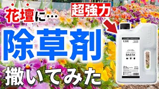 【絶対にやってはいけない】知らずに除草剤を使うと、大後悔【絶対禁止】