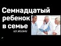 Семнадцатый ребенок в семье П.Н.Ситковский Из жизни