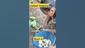 jangan lompong#emakemak #emakemakngevloog #comedy #pertanian #lucu #fyp #sayuransegar