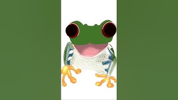 Drawing a cute tree frog…. This little guy brought a smile to my face☺️
