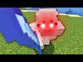 New SMP Member tried to murder me...