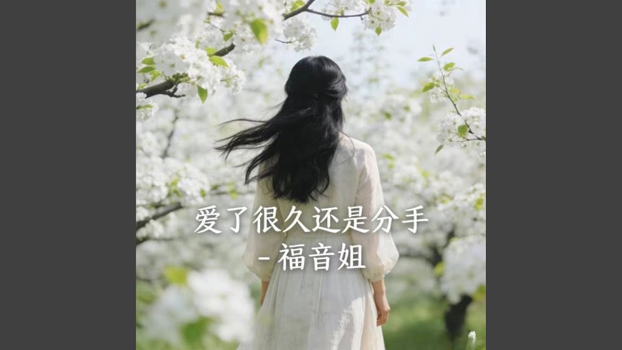 爱了很久还是分手 (DJ涵涵版)