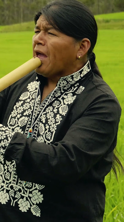 GULUMCAN #panflute #quenacho #quena #zampoña #livemusic #nativeflutes