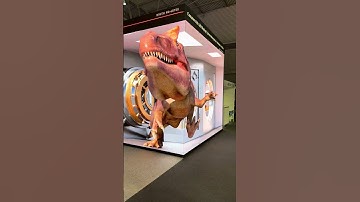 The future of retail advertising : extended reality displays