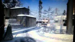 Call of Duty: Black Ops-Hardcore TDM (ARRAY) *Read Discription*
