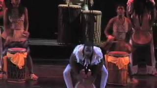 BAM Dance Africa 2009