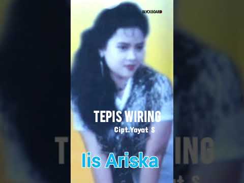 IIS ARISKA BBR - TEPIS WIRING