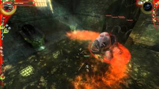 The Witcher - Fighting The Zeugl
