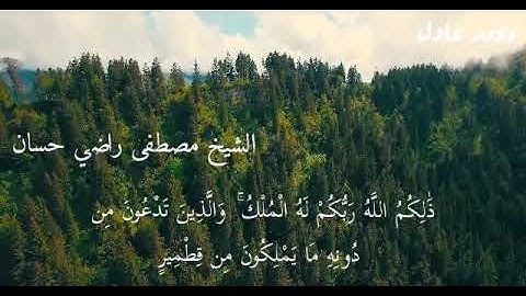 سورة فاطر /الشيخ مصطفى راضي حسان
