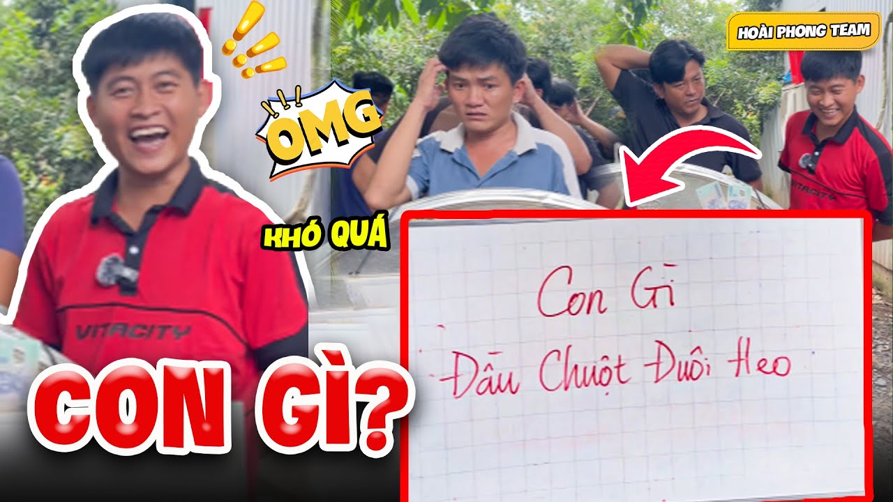 Đố Vui: Đầu Chuột Đuôi Heo Là Con Gì? | Team Hoài Phong TV