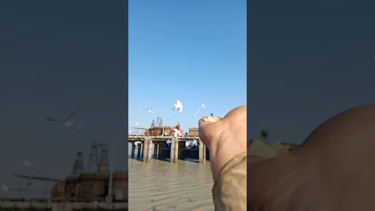 Kandla port