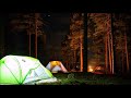 Camping at the Forest with Nature Night Sound for Relaxing (no copyright)