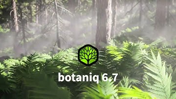 botaniq 6.7 release | Animate Everything | Make stunning 3D forests, gardens, fields in Blender