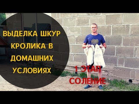 Выделка шкур кролика в домашних условиях.